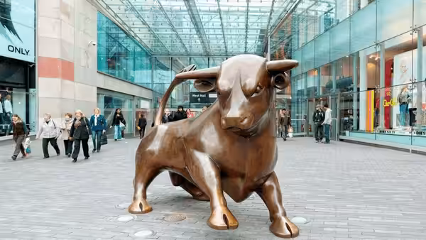 Birmingham marketing agency - Bullring bull